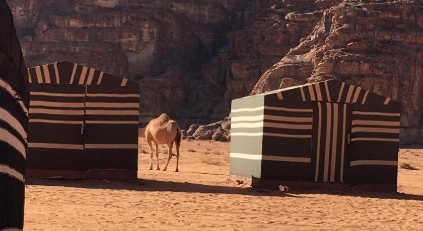 Wadi Rum Desert Heart Camp Hotel Exterior photo